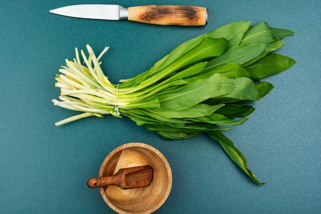 Fresh wild garlic leaves bear onion