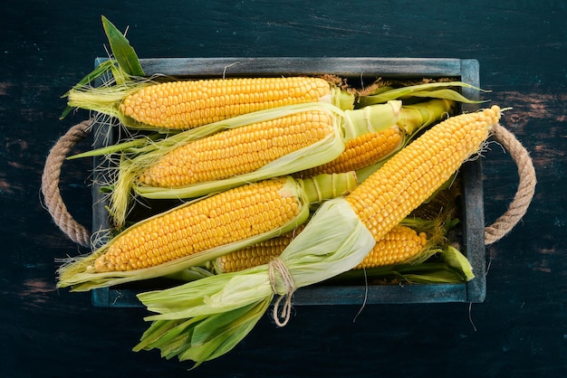 Fresh yellow corn on a black wooden table Vegetables Top view Copy space