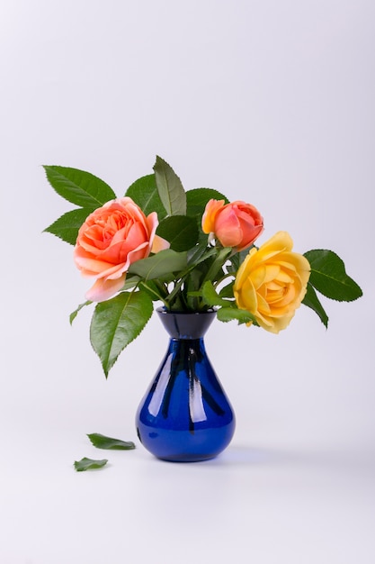 Fresh yellow and peach roses in a blue vase isolated on white surface