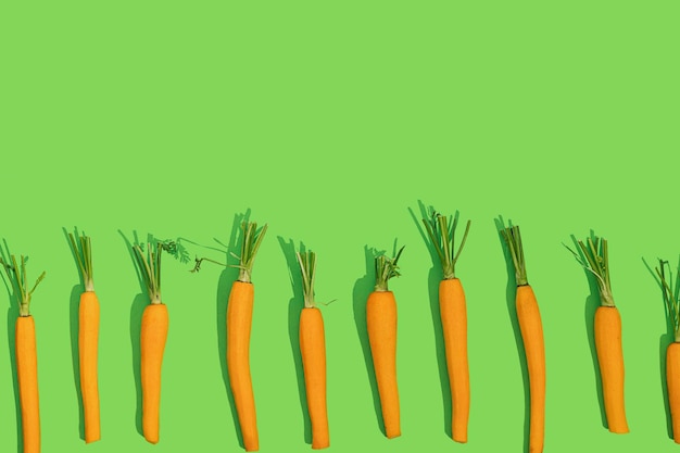 Fresh young bio orange carrot with green leaf haulm in a row on a bright color green background with copy space on a sunny day with sharp shadows Healthy diet eating concept Raw food idea