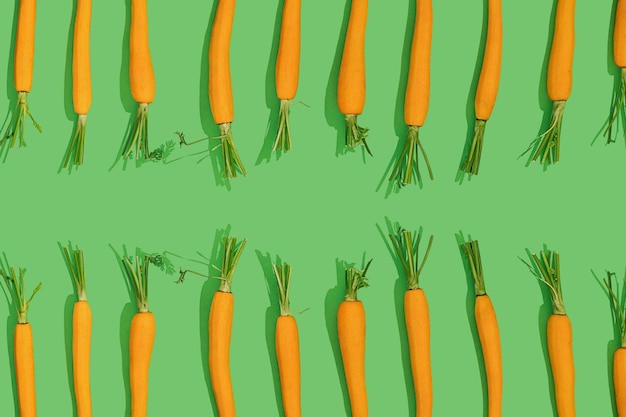 Fresh young bio orange carrot with green leaf haulm in a row on a bright color green background with copy space on a sunny day with sharp shadows Healthy diet eating concept Raw food idea