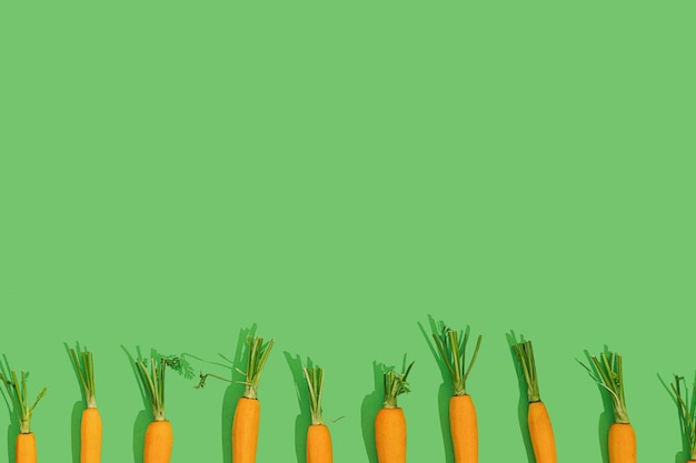 Fresh young bio orange carrot with green leaf haulm in a row on a bright color green background with copy space on a sunny day with sharp shadows Healthy diet eating concept Raw food idea