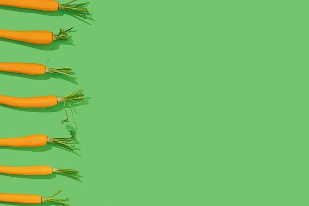 Fresh young bio orange carrot with green leaf haulm in a row on a bright color green background with copy space on a sunny day with sharp shadows Healthy diet eating concept Raw food idea