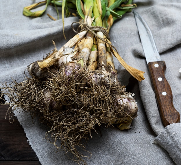 Photo fresh young garlic tied in a bundle on gray linen napkin