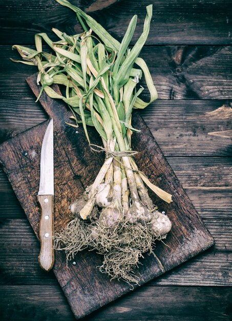 Photo  fresh young garlic tied with a rope on a brown wooden board