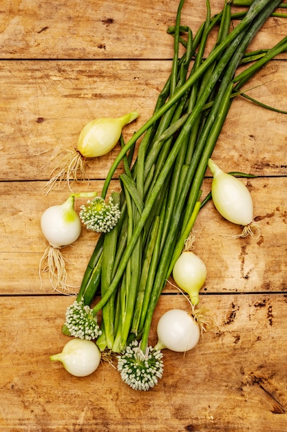 Fresh young onion and its greens. Traditional ingredient for cooking