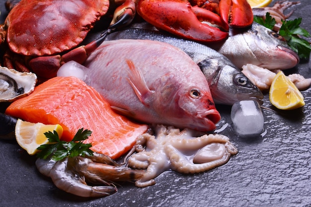 The freshest seafood for every taste