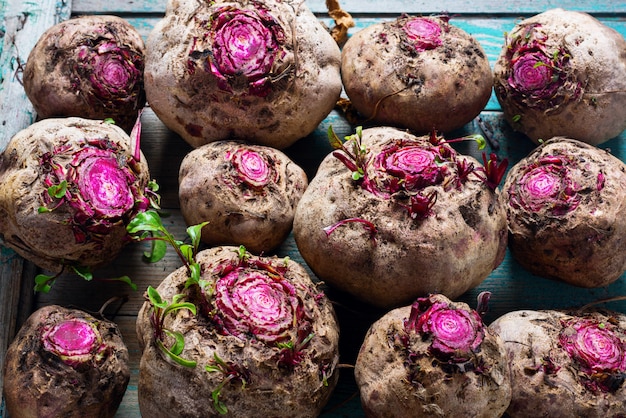 Freshly beetroots line on wooden blue background