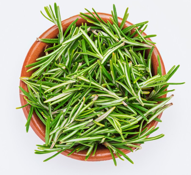 Freshly cut green rosemary leaves (Rosmarinus officinalis) in clay bowl. Rustic appearance Isolated Ingredient of Mediterranean cuisine and healing home remedy.