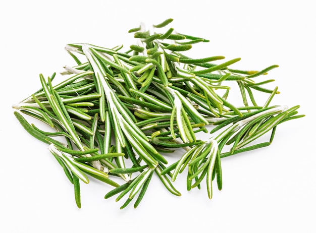 Freshly cut green rosemary leaves (Rosmarinus officinalis). Isolated Ingredient of Mediterranean cuisine and healing home remedy.