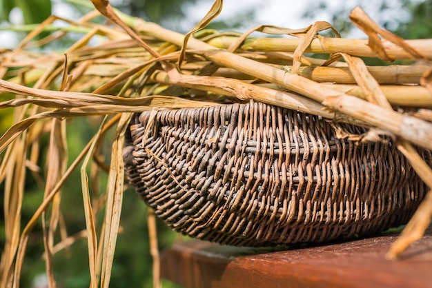 Freshly dug onion bulbs on the wood. Vegetable garden agriculture. Onion stored in basket