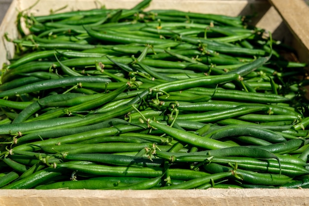 Freshly harvested green beans lie in a wooden box in the sun, close-up.