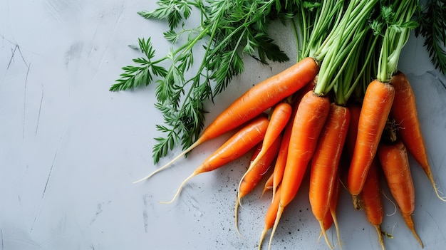 Freshly harvested orange carrots with green tops on a textured white surface