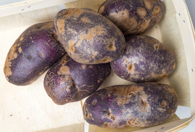 Freshly harvested organic sweet potatoes in wooden box Sweet potato contain insoluble fiber that can help relieve constipation