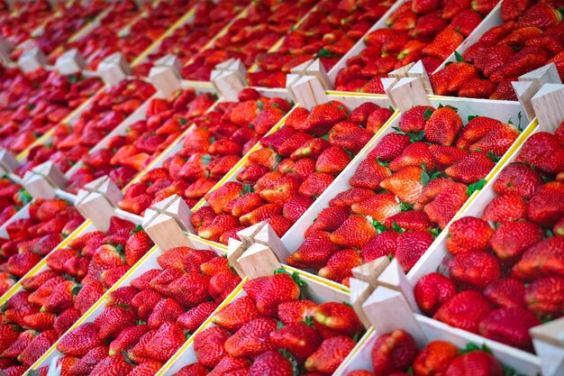 Photo freshly harvested red ripe strawberries in wooden boxes on the counter of fruit market