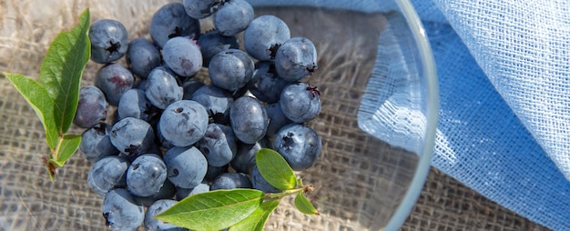 Freshly picked blueberries in wooden bowl Juicy and fresh blueberries with green leaves on rustic table Bilberry on wooden Background Blueberry antioxidant Concept for healthy eating and nutrition