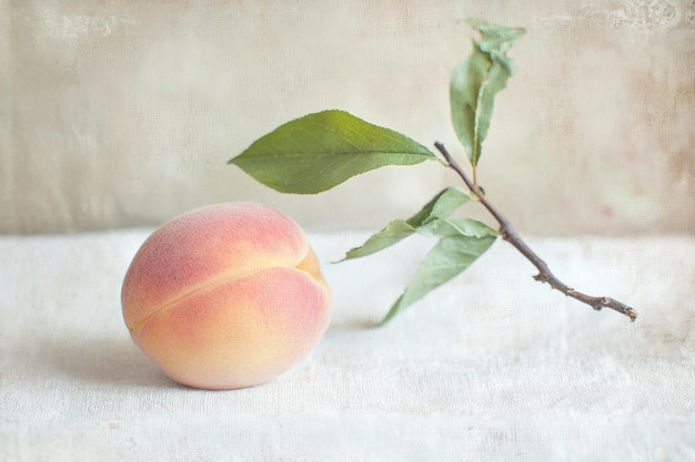 Photo freshly picked peach with a small stem placed on a white surface