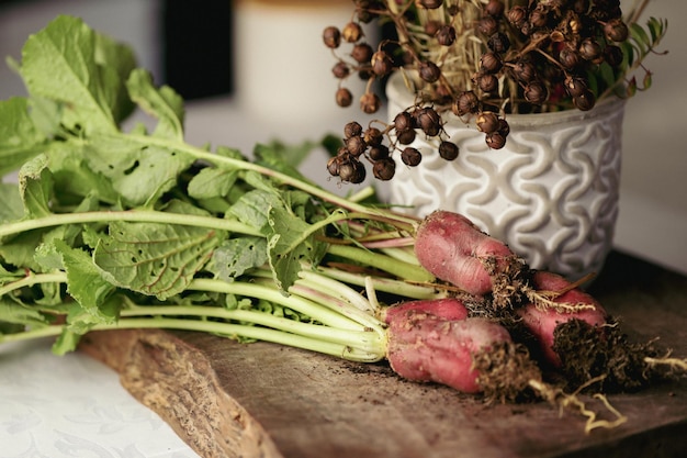 Freshly picked raddishes on display in country kitchen