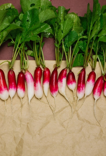 Photo freshly picked red radish on crumpled kraft paper lies in a row. growing vegetables, harvesting.