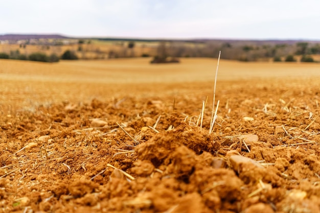 Photo freshly plowed farmland for growing cereals