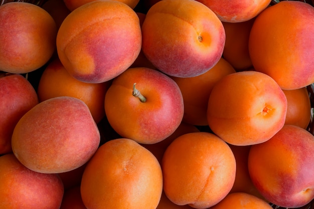 Freshly ripe apricots