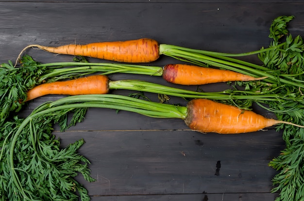 Freshly washed whole carrots with leaves