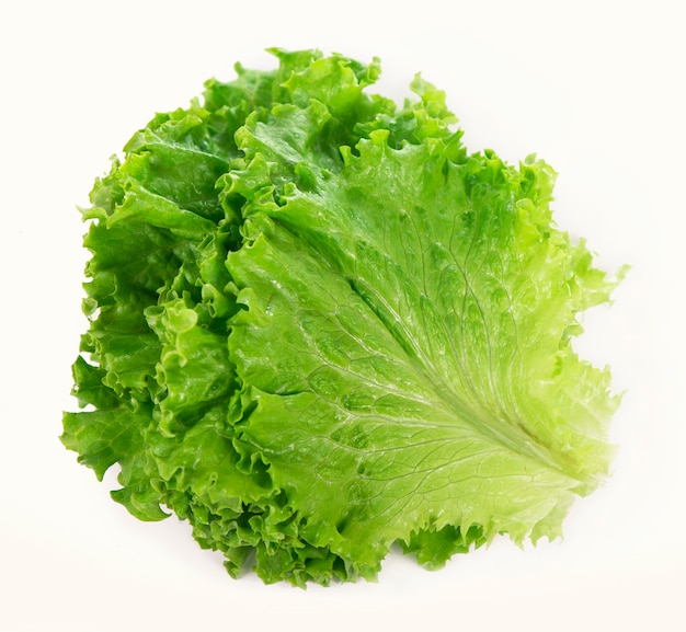 Freshness green leaf lettuce on white surface