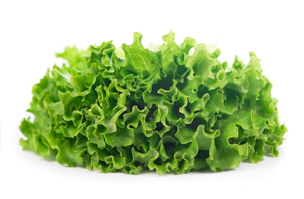 Freshness green leaf lettuce on white surface