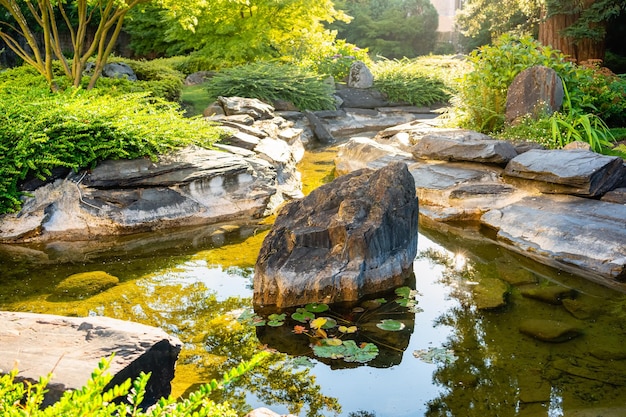 Freshwater pond between dark stones in a japanesestyle garden