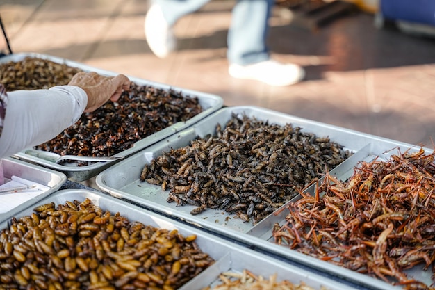 Fried insects locust worm cricket pupa and giant waterbug as street food on a vendor stall Thailand