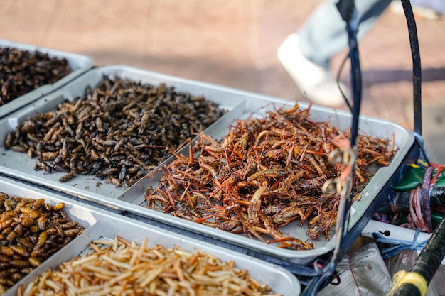 Fried insects locust worm cricket pupa and giant waterbug as street food on a vendor stall Thailand