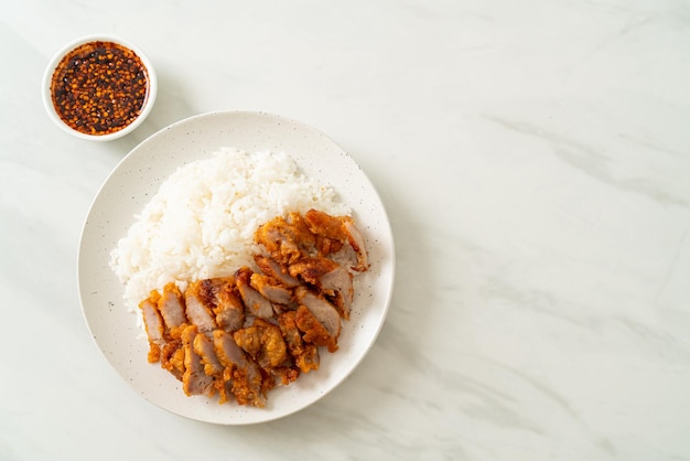 Fried pork topped rice with dipping sauce