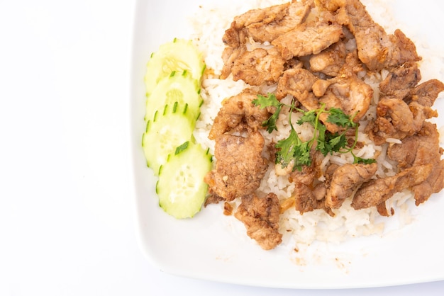 Fried Pork with Rice