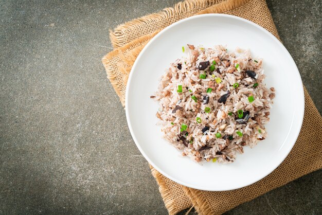 Fried Rice with Chinese Olives and Minced Pork - Asian food style