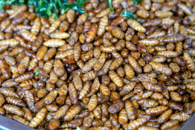 Fried silk worms delicious in street food in Thailand. They are deep fried until reaching a complete state of crispness, heavily salted, and eaten as a protein enriched snack.