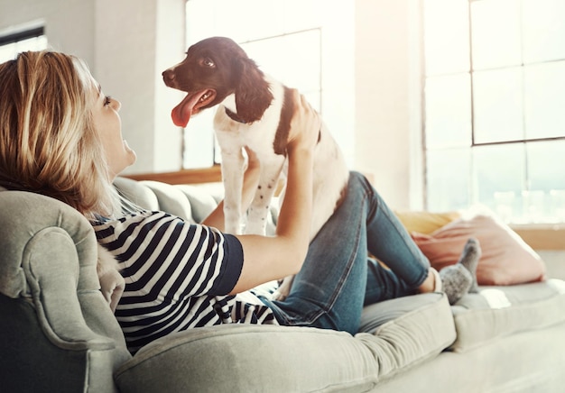 Photo friends love or pet with woman and dog on sofa in living room of home for bonding or cuddle relax support or wellness and owner playing with puppy in apartment for attention companion or loyalty