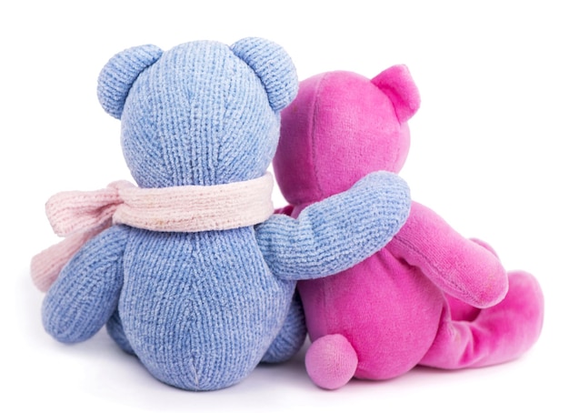 Friendship two teddy bears blue and pink