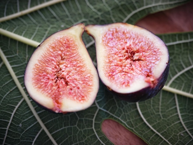 From above of ripe exotic fig fruit with cut in halves placed on green fig leaf