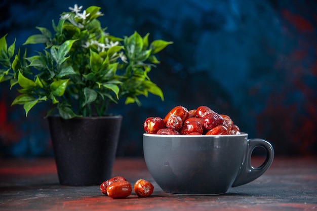 Front close view of fresh raw silverberry fruits inside and outside of a gray cup and flower pot on mix colors background with free space