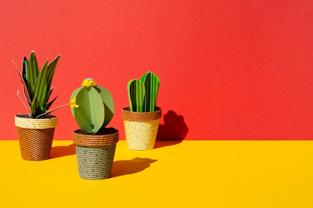 Front view arrangement of cacti on red background