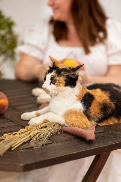 Front view blurry woman with cute cat