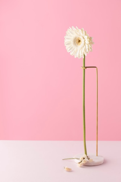 Photo front view of daisy decor on a marble stand