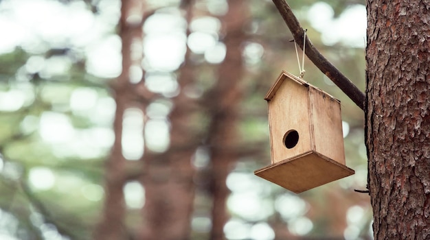 Front view, Inside the forest, wooden birdhouse attached to a pine tree trunk. Selective focus