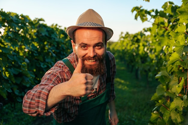 Front view looking at camera young winemaker male vineyard worker laugh thump up one hand happy