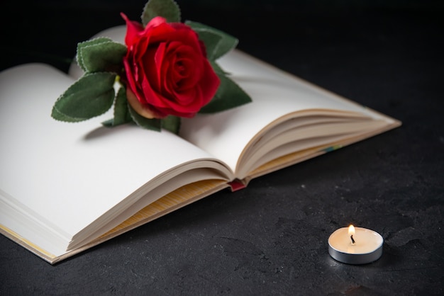 Front view of red flower with open book on dark