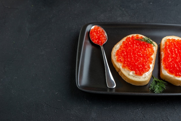 front view tasty caviar sandwiches inside plate on dark background snack fish dish toast burger meal food seafood dinner