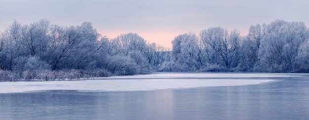 Frost-covered trees on the banks of an ice-bound river in the morning during sunrise