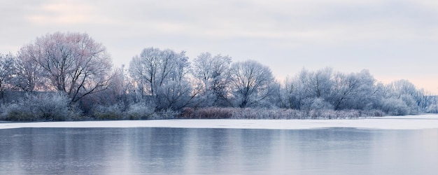 Frost-covered trees on the banks of an ice-bound river in the morning during sunrise