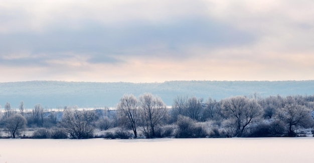 Frost covered trees near the river in the morning during sunrise