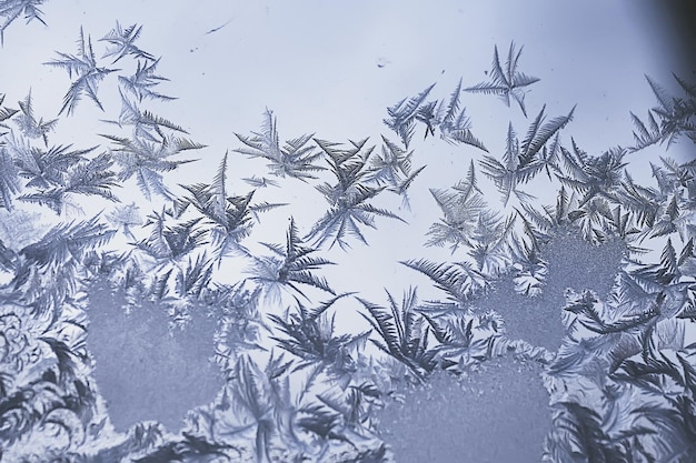 frost patterns on window glass, abstract background winter rime snow